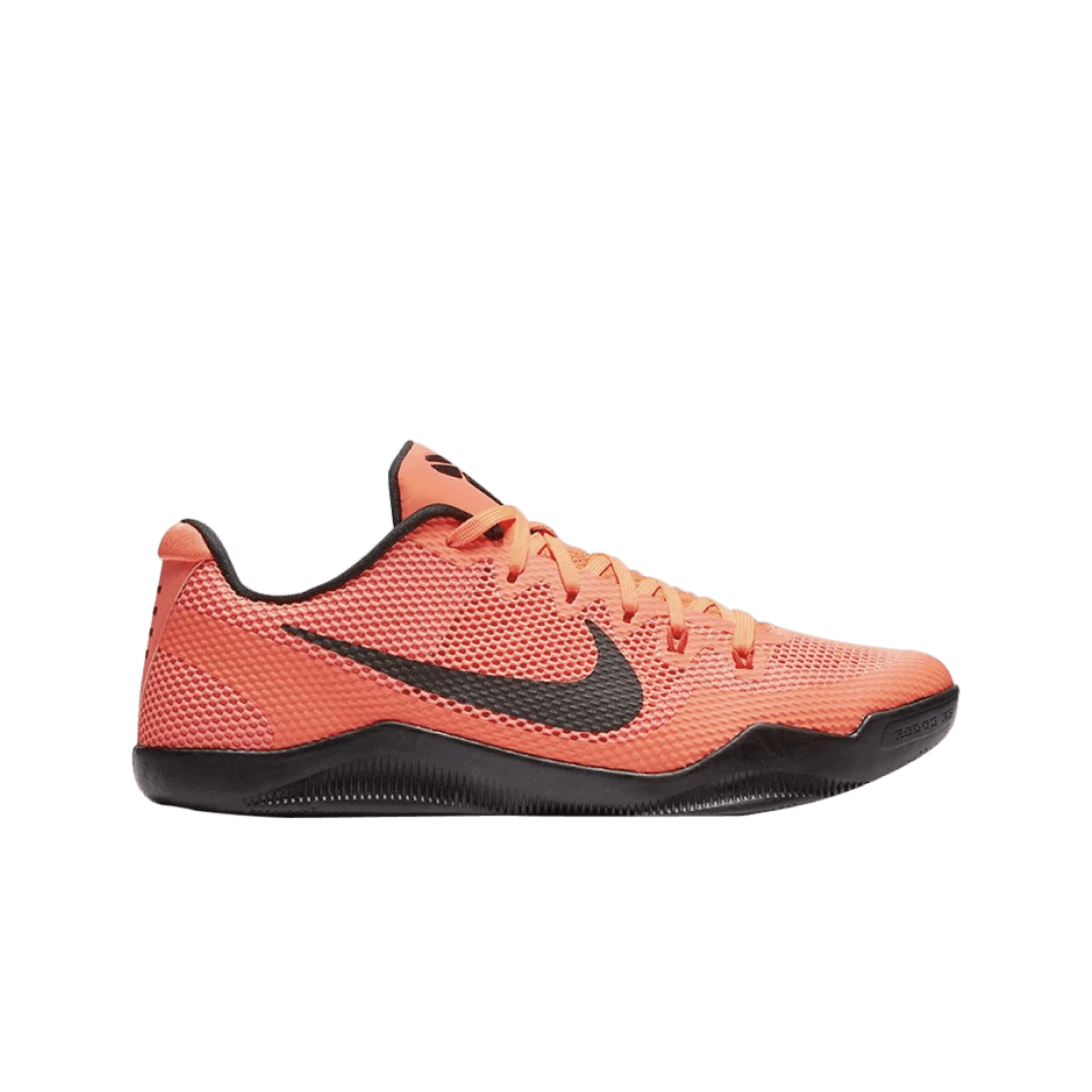 Kobe Barcelona